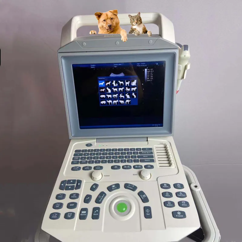 BT-UD95 ПЭТ оборудование терапия животные ультразвуковой аппарат для собак