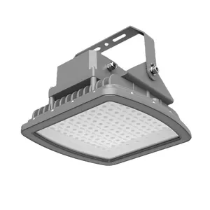 2023 Hot Sale Die Cast Aluminum Atex Led Explosion Proof Flood Light 20w 40w 80w 100w 200w Led Explosion-proof Lamp Waterproof