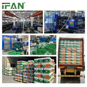IFAN卸売プラスチック配管水継手20-110mmPPR継手PN25TアダプタPPRチューブコネクタPPRパイプ継手
