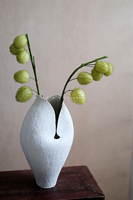 Ranting Buah Buatan Berbentuk Bola Berbulu Tangkai Panjang, Batang Milkweed, Tanaman Hias Berduri, Dekorasi Bunga Indoor