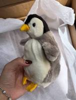 Jouets en peluche personnalisés et colorés pour les écoles internationales de langues, les programmes d'échanges culturels et l'enseignement en classe étrangère