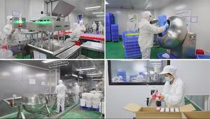 Extracto de Hoja de <span class=keywords><strong>Alfalfa</strong></span> en Polvo de Alta Calidad, Grado Alimenticio 10:1 20:1, para Suplementos Nutricionales, Suministro de Fábrica - Product Image 4
