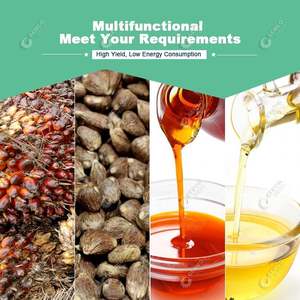 เครื่องแปรรูปน้ำมันผลปาล์มขนาดเล็ก3 t/h - Product Image 6