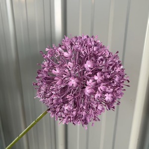 AYOYO Boule de chrysanthème en plastique faite à la main, luxueuse, pour <span class=keywords><strong>d</strong></span>écoration <span class=keywords><strong>d</strong></span>'Halloween, fleurs artificielles en forme <span class=keywords><strong>d</strong></span>'<span class=keywords><strong>oignon</strong></span>, pour la fête des mères, Noël - Product Image 4