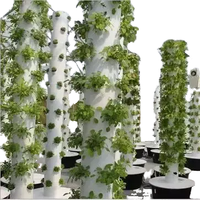 Grand Système Hydroponique Vertical pour Légumes et Ananas, Tours de Culture Aéroponique en PVC