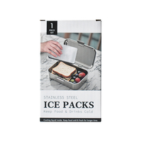 Pack de glace en métal de conception OEM pour le camping, panier de pique-nique, packs de congélation sac de glace en brique de glace pour les boissons réfrigérantes
