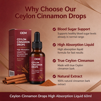 Capsules de Cannelle de Ceylan à Absorption Élevée, Extrait Pur de Cannelle, Soutien Immunitaire, Certifié Halal, OEM pour Adultes