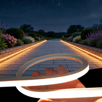 Bande lumineuse LED souple en silicone flexible personnalisée LFB1616-3, étanche IP66, pour extérieur, paysage, parc, allée