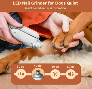 <span class=keywords><strong>Prix</strong></span> de gros du fabricant, coupe-ongles et lime à ongles pour <span class=keywords><strong>chat</strong></span> 2 en 1, sûr, portable, électrique, rechargeable, outil de toilettage pour animaux de compagnie, lumière LED - Product Image 3