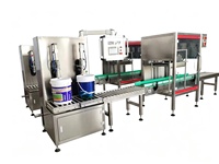 Machine de pesage et de remplissage à double tête de 1 à 50 kg avec contrôle PLC pour les produits alimentaires, agricoles et chimiques
