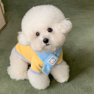 Sweat à capuche jaune pour chiot Bichon Frise avec écharpe, vêtements pour animaux de compagnie toutes saisons, coupe confortable, vêtements pour petits chiens - Product Image 2