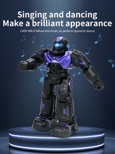 Nouvelle technologie <span class=keywords><strong>de</strong></span> danse éducative intelligente <span class=keywords><strong>de</strong></span> contrôle <span class=keywords><strong>de</strong></span> geste infrarouge figurine d'action intelligente RC Robots <span class=keywords><strong>de</strong></span> <span class=keywords><strong>combat</strong></span> jouet pour enfant - Product Image 6