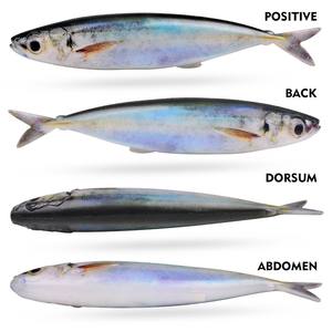 Leurre souple en plastique pour maquereau SNEDA 5,7 pouces, eau salée et eau douce, pour montage sans poids, lancer en mer, matériel de pêche - Product Image 2