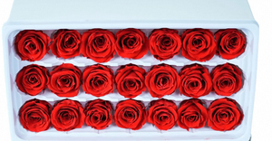 Nouvelle ouverture de <span class=keywords><strong>magasin</strong></span>, cadeau de la Saint-Valentin, vie éternelle, éternité illimitée, roses stabilisées et conservées pour la remise des diplômes, Noël - Product Image 2