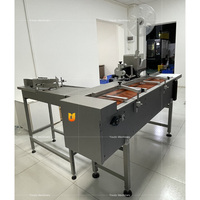 60 stks/min Automatische elektrische zakbindmachine met datumcodering voor de productie van brood, fruit, groenten en gebak in bakkerijen (Energie