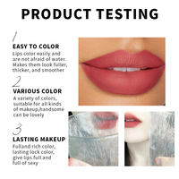 Crayon à lèvres satiné soyeux hydratant, waterproof, longue tenue, couleur intense, 18 teintes, OEM ODM, étiquette privée, logo personnalisé, vente en gros
