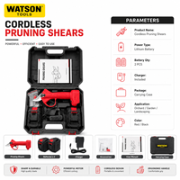 Kit de sécateurs sans fil en gros, batterie lithium 21V, coupe-branches électrique pour verger, jardin et aménagement paysager