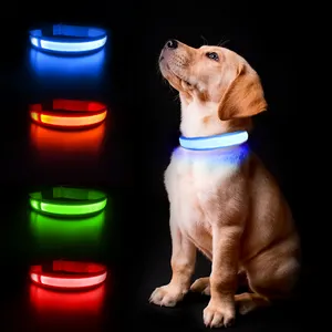 China Groothandel Op Maat Led Hondenhalsband Huisdier Accessoires Kat En Hond Led Kraag