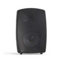 Enceinte portable DJ PA, 80W RMS, woofer ferrite 10 pouces, tweeter titane avec microphones sans fil pour achats en gros