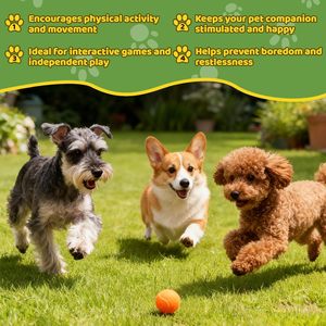 Custom Durable Eco-Friendly Rubber Dog Tennis Balls with Built-in Squeaker-Promotional Pet Gifts & Giveaways with Logo - Product Image 6