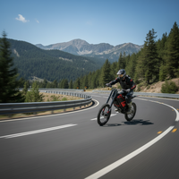 Nouvelle moto électrique tout-terrain haute puissance pour adultes, modèle T1, avec une puissance maximale de 7000 W, 72 V, plus de 80 km/h, fabriquée en Chine