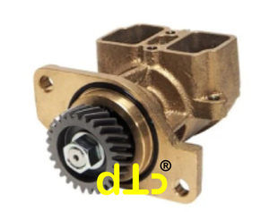 Bomba de Agua de Mar Compatible con Yanmar 6LP/ 6LPA-STP2 119773-42502 Reemplazo JPR-YM06LPB - Product Image 1