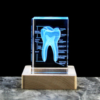 Cube de cristal transparent avec dents, modèle dentaire naturel agrandi, gravé au laser pour la pratique des étudiants