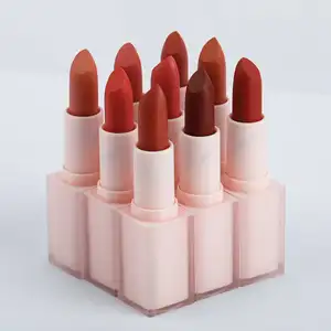 High Quality OEM Professional Lipsticks Waterproof Long Lasting Custom Logo Matte 14 Colors Lipstick