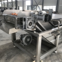 Automatische bubbelwasmachine, fruit- en groentewasmachine, zachte wasmachine, koelmachine