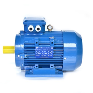 Moteur électrique à induction triphasé 22 kW 30 CV 3000 tr/min avec indice de protection IP55 et enroulement 100 % cuivre - Product Image 3