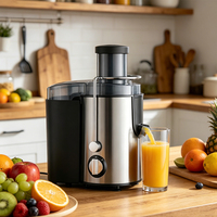 Mixeur Électrique Commercial Hydraulique 800 Watts pour Smoothies, Usage Professionnel et Domestique, Vitesse Réglable pour Mélanger les Légumes