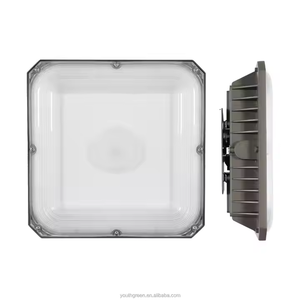 0-10V Dimmable tán thương mại ánh sáng ngoài trời trạm xăng Ánh Sáng IP65 không thấm nước tán ánh sáng cho nhà để xe kho dưới cầu - Product Image 2