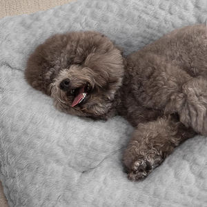 Perrera lavable y cálida para mascotas, sofá mediano y grande, cama para mascotas, cojín esponjoso para dormir para perros - Product Image 3