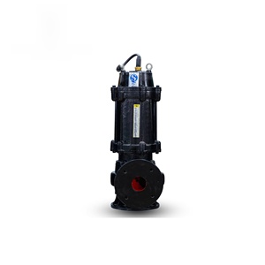 OEM System water drainage <b>pump</b> with Double Mechanical Seal - Product Image 3