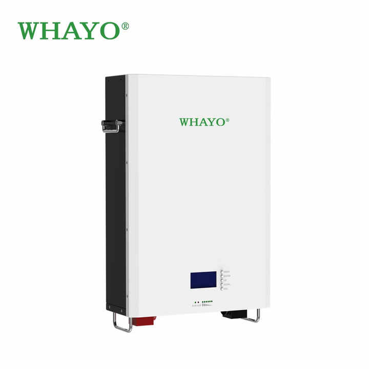 10kWh 51.2V 200Ah Wall-Mounted LiFePO4 Battery with CAN/RS485 for Solar ...