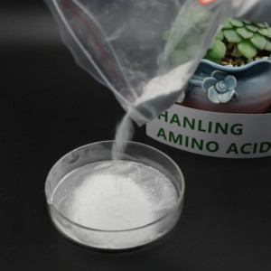 محتوى عالي من البوتاسيوم الزراعي L-Glutamate-الأزهار والحفاظ على الفاكهة - Product Image 4