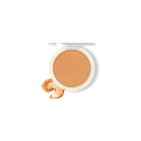 Couverture complète mate de poudre pressée par maquillage compact de poudre avec la finition impeccable