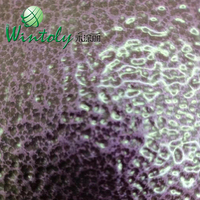 Peinture en poudre Wintoly époxy polyester, aspect martelé, cuivre antique, argent, pour métal, fer, pot
