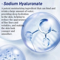 Meilleur Sérum Booster Hydratant Rose HA pour les Lèvres, Traitement Réparateur Anti-Rides avec Acide Hyaluronique pour des Lèvres Repulpées et Volumineuses, OEM