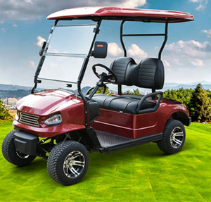 Carrito de Golf Eléctrico de 2 Plazas con Techo Completo y Parabrisas, Homologado por la CE, Mini Buggy Turístico para Villas y Resorts - Product Image 2