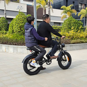 Dk200 Pro Us Warehouse Livraison gratuite Drop Shipping Summer Beach 1200w Vélo hybride pour adultes - Product Image 1