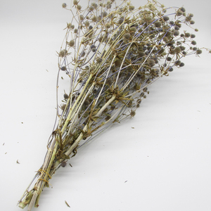 Fleurs séchées naturelles du Yunnan Eryngo <span class=keywords><strong>Eryngium</strong></span> pour les arrangements floraux festifs pour les décorations de Noël et d'Halloween - Product Image 5