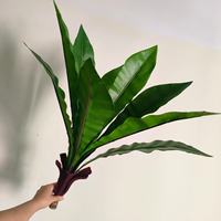 Asplaium Nidus daun plastik buatan, realistis tahan air UV awet ringan ramah lingkungan untuk penggunaan dalam/luar ruangan
