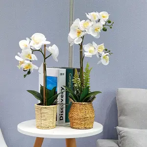 Toptan ev dekor gerçek dokunmatik kelebek orkide çiçek saksı yapay Phalaenopsis orkide bitkiler Pot