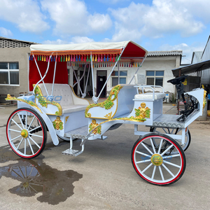 Véhicule électrique de tourisme idéal pour les parcs d'attractions, calèche à chevaux à vendre - Product Image 4