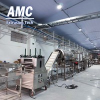 Machine à fabriquer des chips de maïs AMC à vendre, machine à chips de maïs triangulaires, machine de production de chips de tortilla cuites