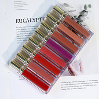 Bâtons à Lèvres avec Logo Personnalisé OEM Rouge à Lèvres Liquide Mat Sans Cruauté Végétal Imperméable en Ingrédient Minéral Nude Marque Privée