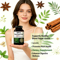Source Factory Berbérine Double Action 1500mg avec Cannelle de Ceylan 240 Capsules Végétariennes Complément Alimentaire Marque Blanche