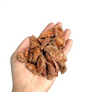 Tranches de fleurs de palmier Toddy de haute qualité, séchées, sans moisissure, 500g 10kg - Product Image 1