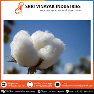 Algodón orgánico crudo para varias industrias, venta al por mayor, a precio asequible - Product Image 6